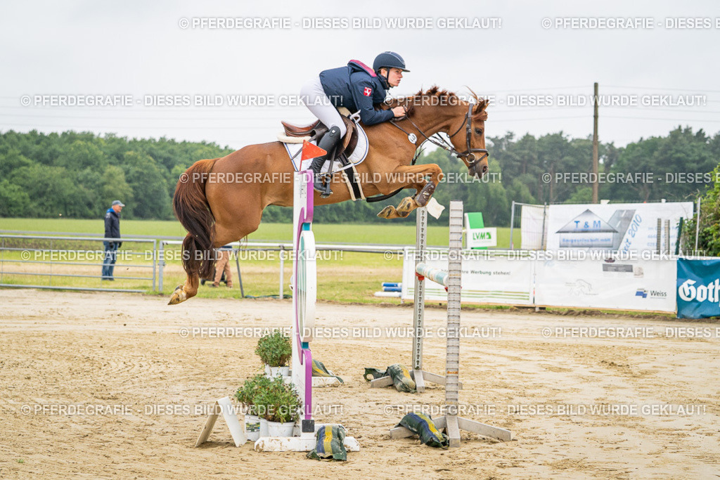 DSC01150 | Pferdegrafie