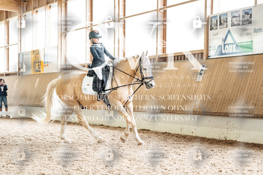 CK900494 | Turnierfotografie Pferdefotografie Trier Rheinland-Pfalz Pferdesport Reitsport Tierfotografie Sportfotografie Pferdevideo Pferdevideografie Equestrianvideography equestrianphotography  - Realisiert mit Pictrs.com