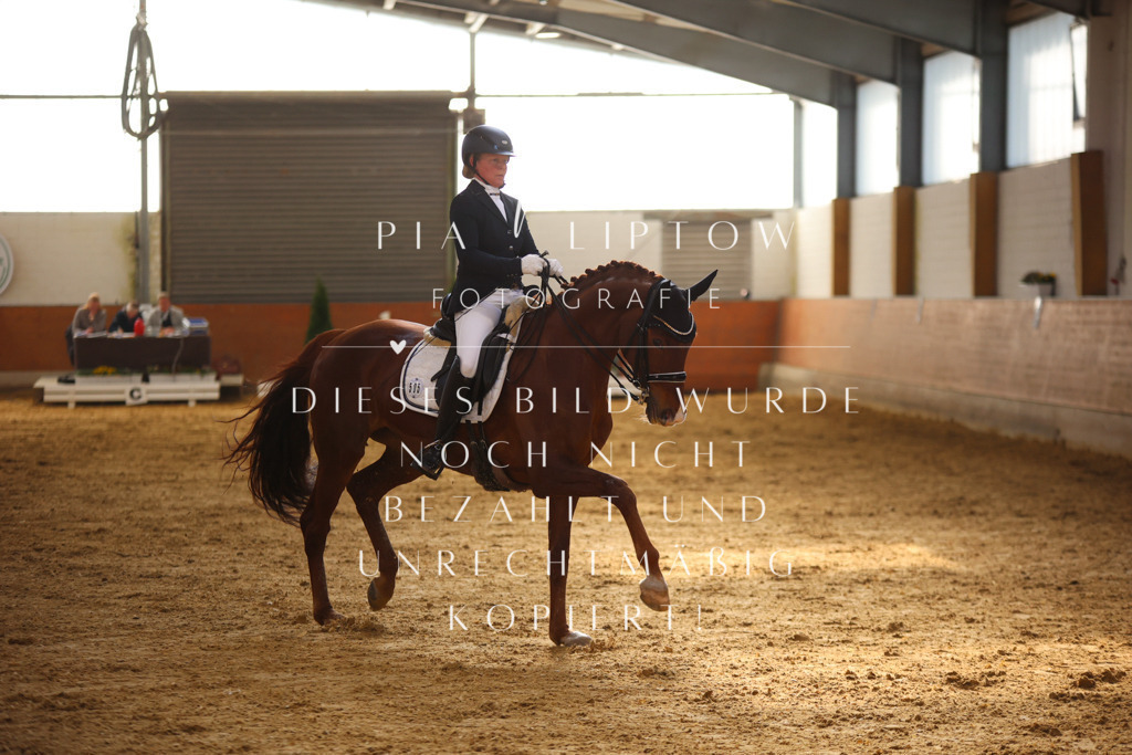 IMGT9844 | pl-fotografie