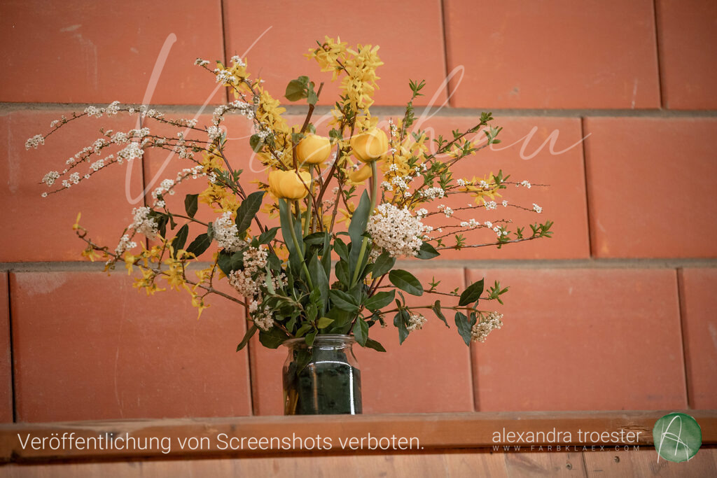 250405_Barop_06_239 | farbklaex.com