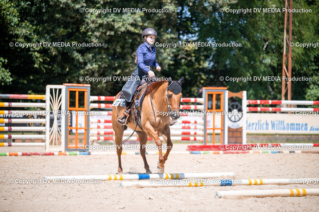 ZS1_1300 | dv-media-shop - Realisiert mit Pictrs.com