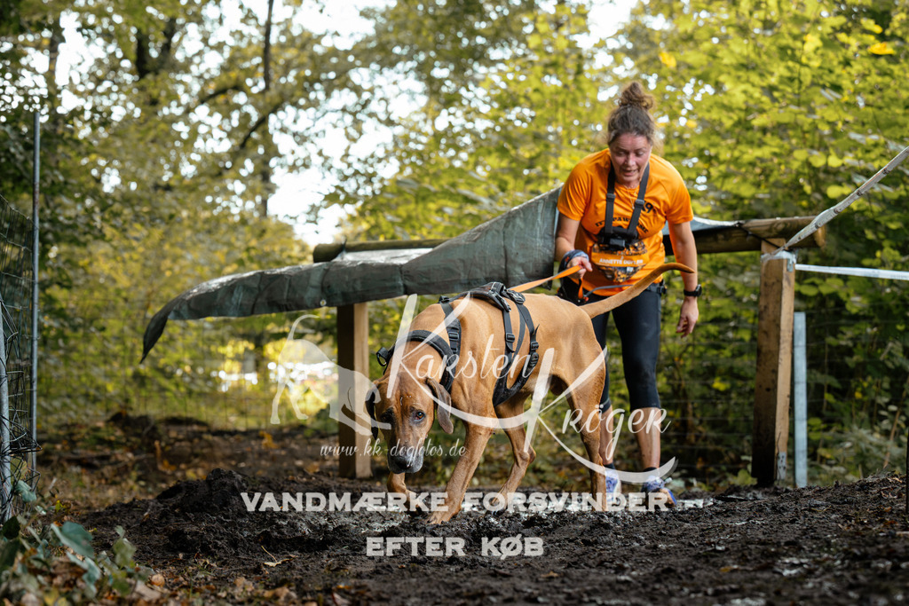1415DZ6_1346Z6 | kk-dogfotos