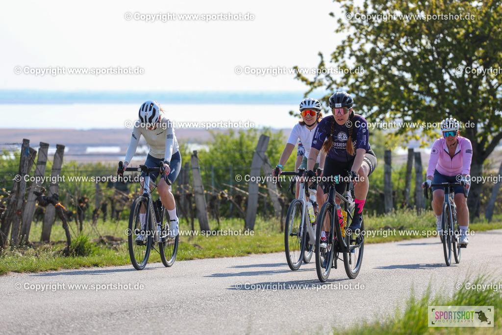 IMG_0859 | @sportshot_your_pictrs #yourpictures#roadtowm2029 #nrm #neusiedlerseeradmarathon #neusiedlersee #neusiedlerseetourismus #burgenland #mörbisch #nrm26 #burgenlandtourismus #voglundco #poweredbyburgenlandtourismus #radsport #rad #marathon #ucigranfondo #visitburgenland #ucigranfondoworldseries