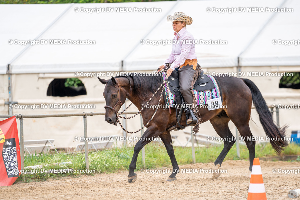 LM Heiligenwald Tag 3-910 | dv-media-shop - Realisiert mit Pictrs.com