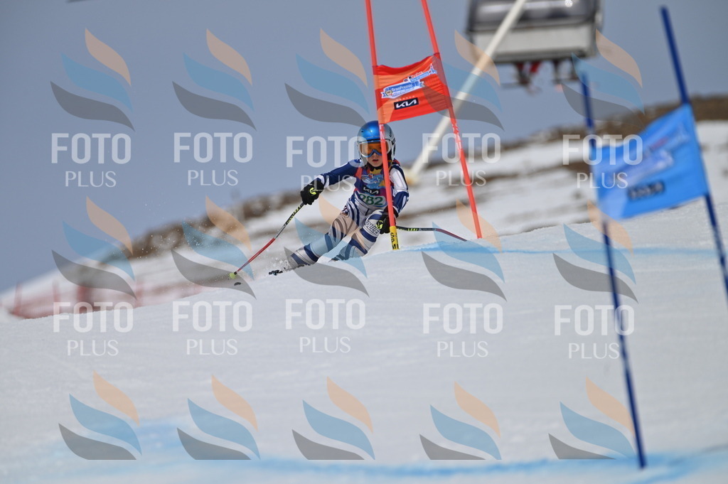 BGV_5597 | holidayphoto