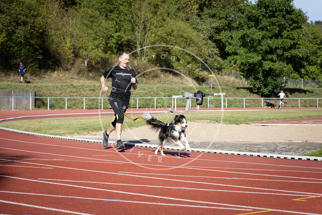 Pfotenfotografie_DV3A9970 | Hundefotografie, Tierfotograf, Pfotenfotografie, Fotoshooting Hund, Hunde Portrait, Hundesport, Hundeportraits, Heideshooting, Hunde, Sportfotograf, Hundefotograf, Turnierhundsport, THS,  - Realisiert mit Pictrs.com