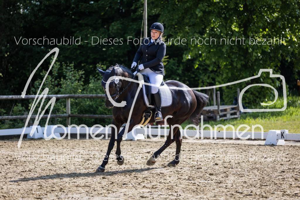 Donop24-A2-Dre-045 | MomenTaufnahmen Pferdesportfotos