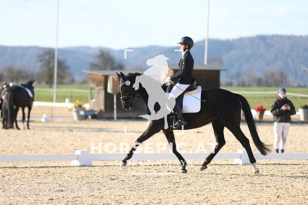 AS8V2165 | Willkommen bei Brunnmayr - Design & Fotografie – Ihrem Spezialisten für Reitturniere und Pferdeveranstaltungen in Oberösterreich, Salzburg und Bayern! Seit über 17 Jahren sind wir leidenschaftlich dabei.