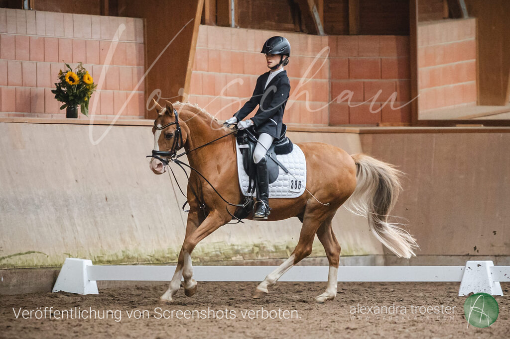 _MG_0766 | farbklaex.com