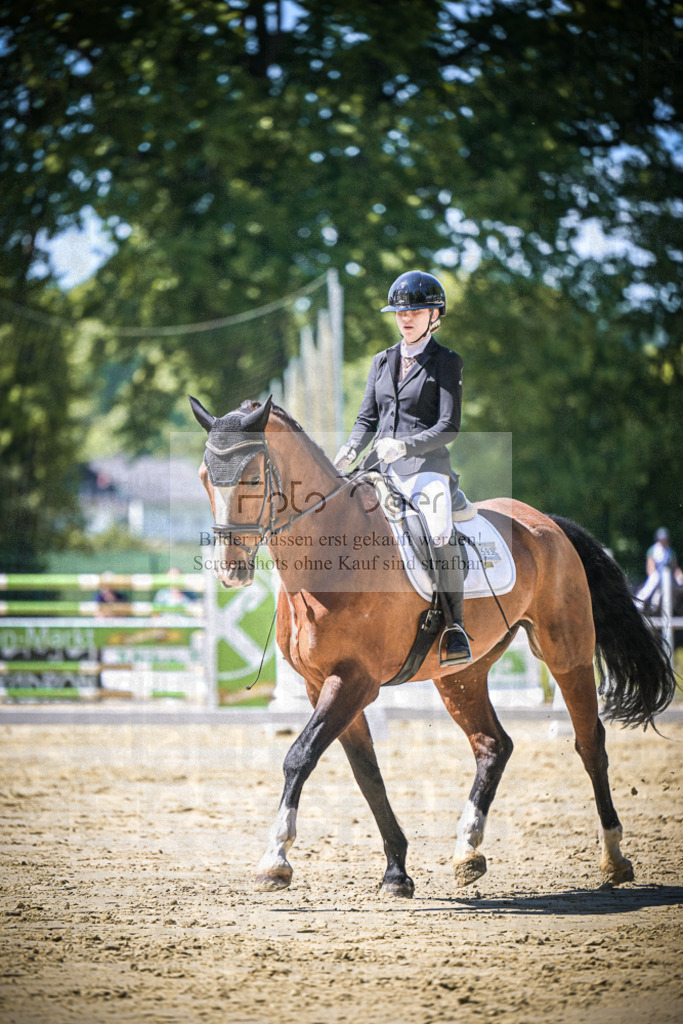 DOS_8463 | Entdecke hochwertige Reitturnierfotos von Foto Oger. Professionell, emotional und authentisch – jetzt Lieblingsmomente im Shop bestellen.Deutschlandweite Turnierfotografie. - Realisiert mit Pictrs.com