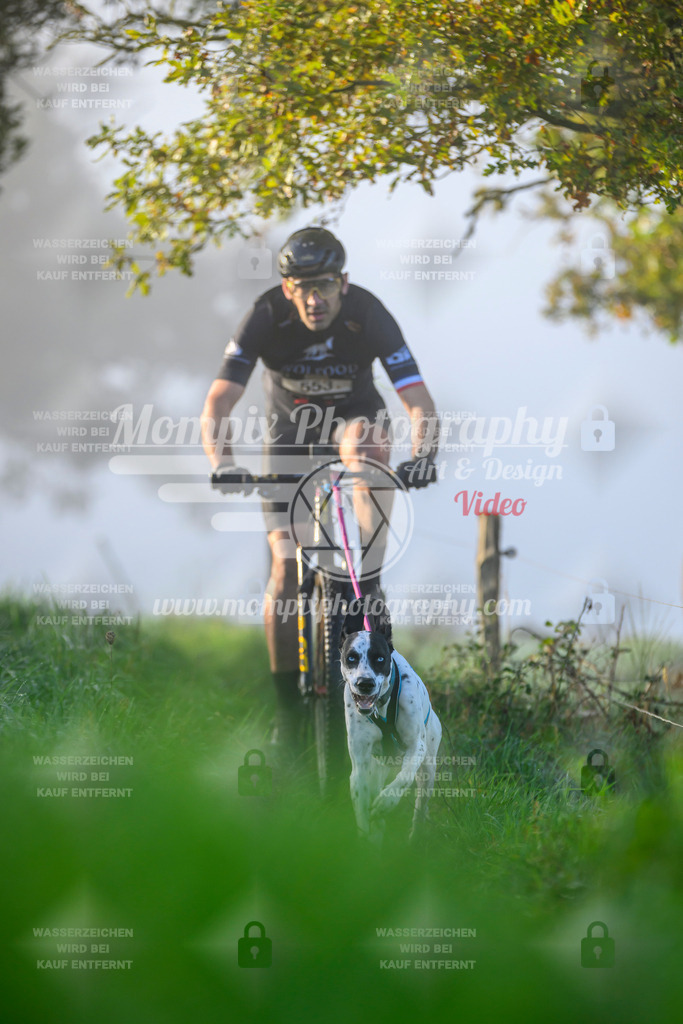 MompixPhotography_20TSB_E3_Bike-26 | PayLife