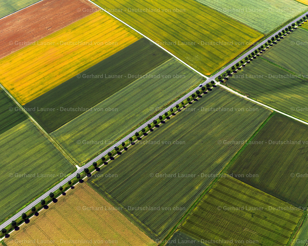 3126734 | Baum-und Feldstrukture bei Holzheim