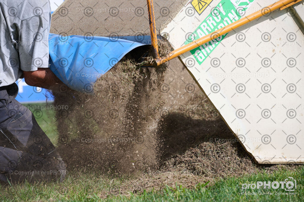 202507_Rernböck-Rasen_NZ9_1109 | proPHOTO - Realisiert mit Pictrs.com