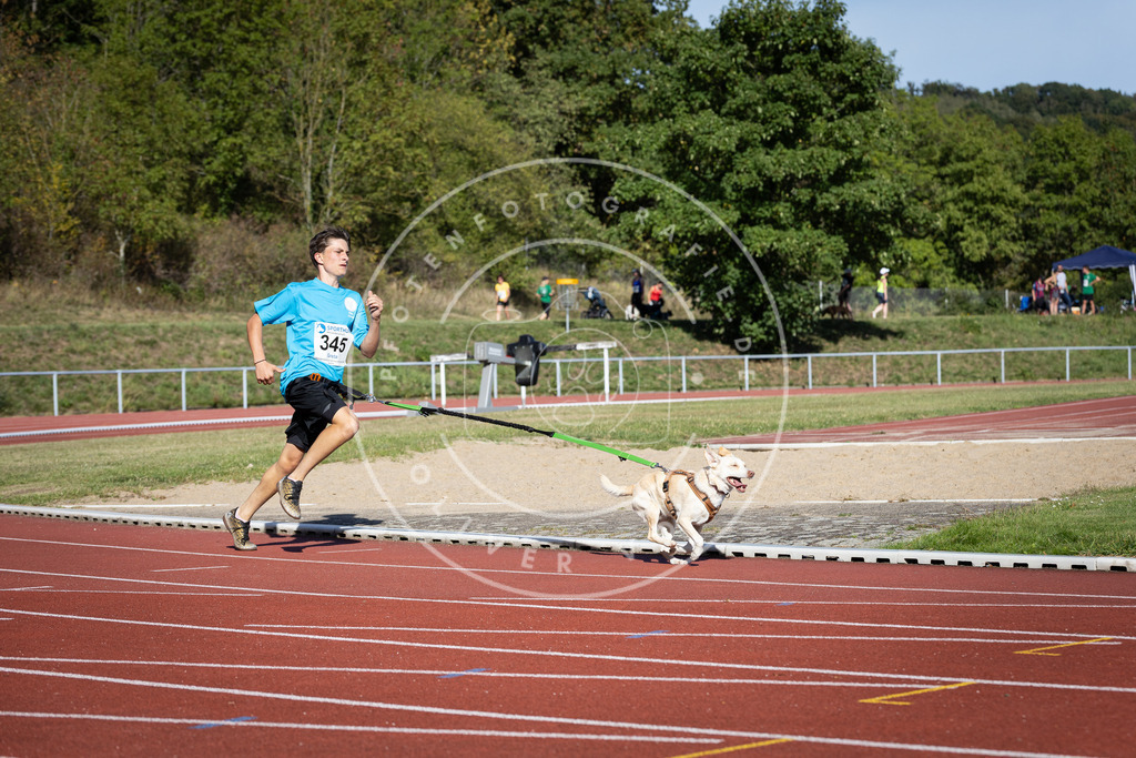 Pfotenfotografie_DV3A8505 | Hundefotografie, Tierfotograf, Pfotenfotografie, Fotoshooting Hund, Hunde Portrait, Hundesport, Hundeportraits, Heideshooting, Hunde, Sportfotograf, Hundefotograf, Turnierhundsport, THS,  - Realisiert mit Pictrs.com