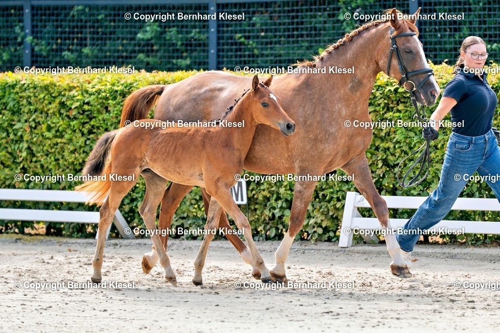 2A908696 | foto-team-bernhard - Realisiert mit Pictrs.com