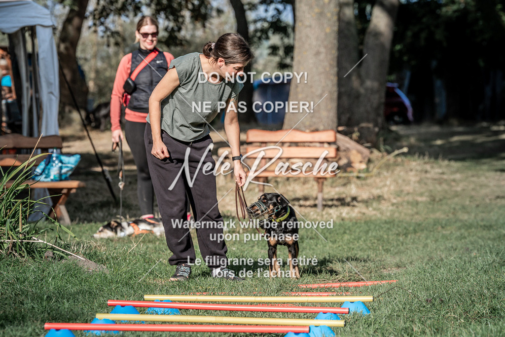 nelerasche_slaw24Sa_78 | nelerasche
