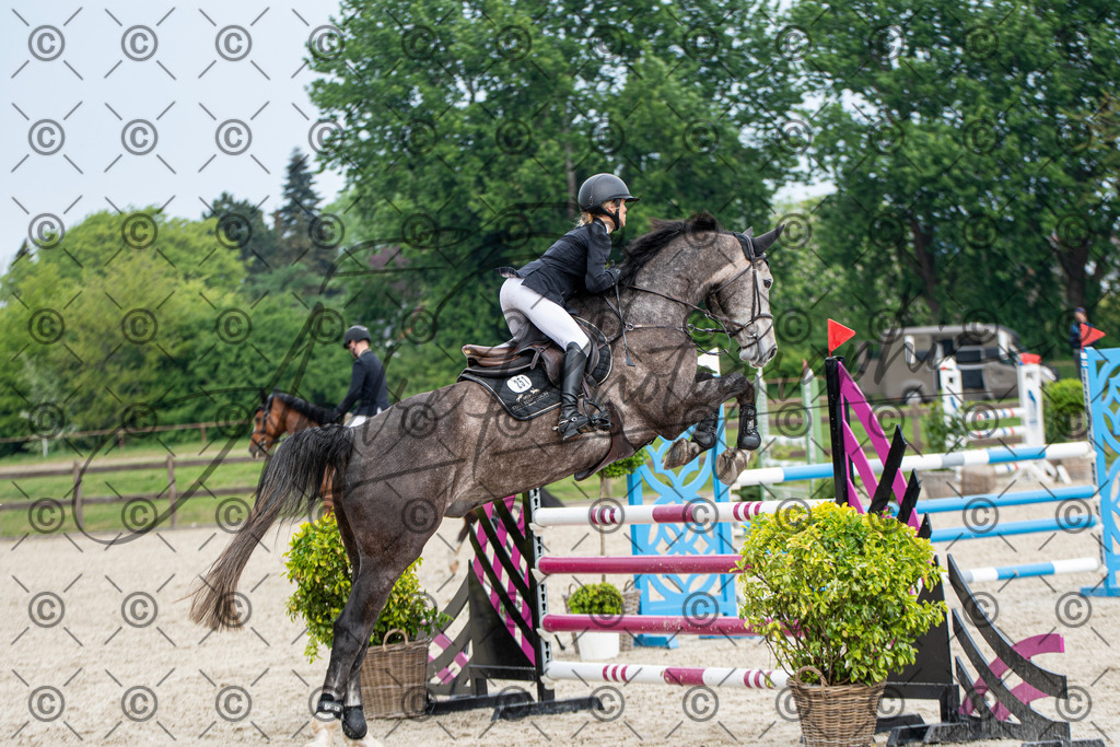 KPT_3521 | andre_photographic