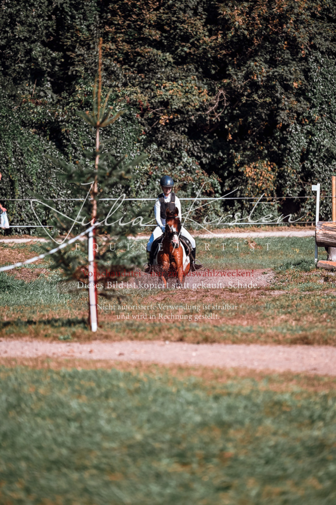 DSC_1038 | Pferde- und Turnierfotografie in Westsachsen. Pferdeportraits, Auftragszeichnungen und intuitive Kunst.
