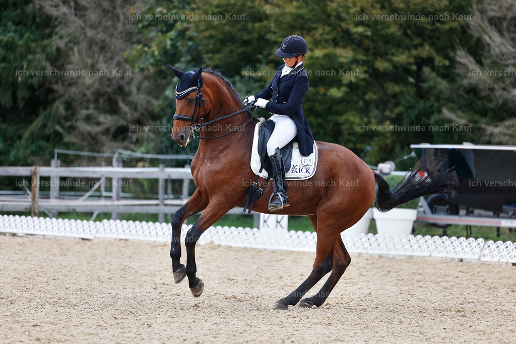 12-072-DRESSUR  S___  -StoibPH-5345 | working equitationturnier fotograf videograf stoibphotography marixx film working equitation deutschland reitsport turnierfotografie eventfotografie equestrian events