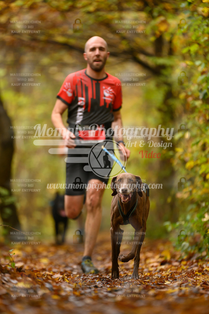 MompixPhotography_CD7S_DI_CCL-61 | mompixphotography