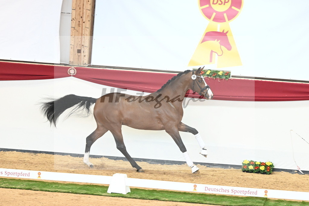 Kat.-Nr. 79 v. Valverde_Gaab_2241009 | hf-fotografie - Realisiert mit Pictrs.com