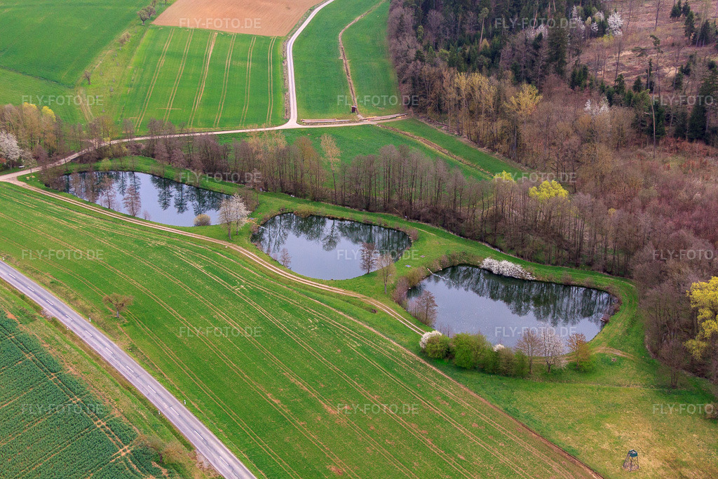 Luftbild: Fischteiche am Erbach im Ortsteil Sondheim in Mellrichstadt im Bundesland Bayern in Deutschland. Foto: IMG_64003.jpg vom 04.04.2014 durch Werner Riehm/FLY-FOTO.de
