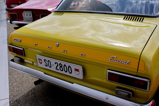 Calag_Oldtimer2025-40 | Ich fotografiere Hundeausstellungen, Sportanlässe, Zuchtstätten, Hundezucht, Hundeportrait, Lagotto - Realisiert mit Pictrs.com