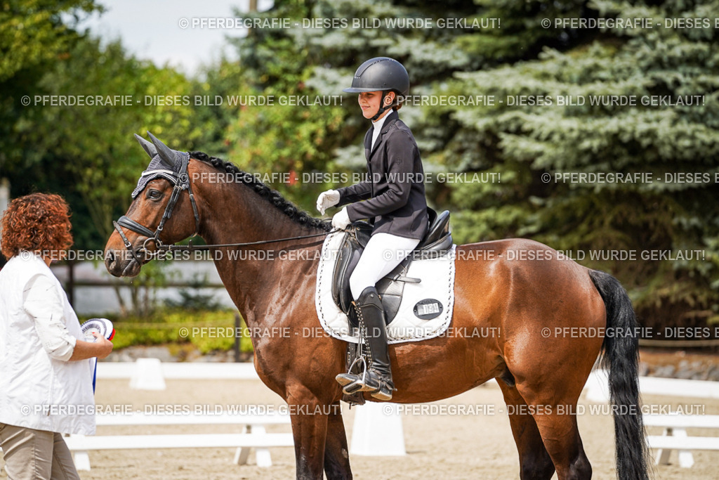 DSC04499 | Pferdegrafie