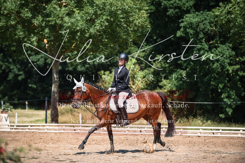 DSC_3073 | Pferde- und Turnierfotografie in Westsachsen. Pferdeportraits, Auftragszeichnungen und intuitive Kunst.