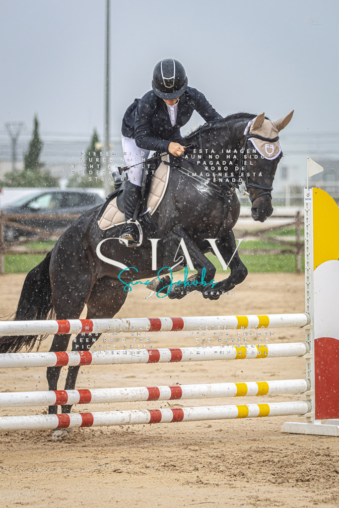 IMG_1864-Verbessert-RR | s-jay-photography - Realisiert mit Pictrs.com