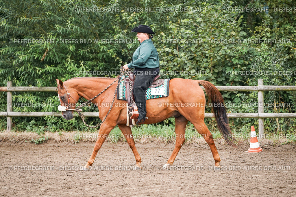 DSC02832 | Pferdegrafie