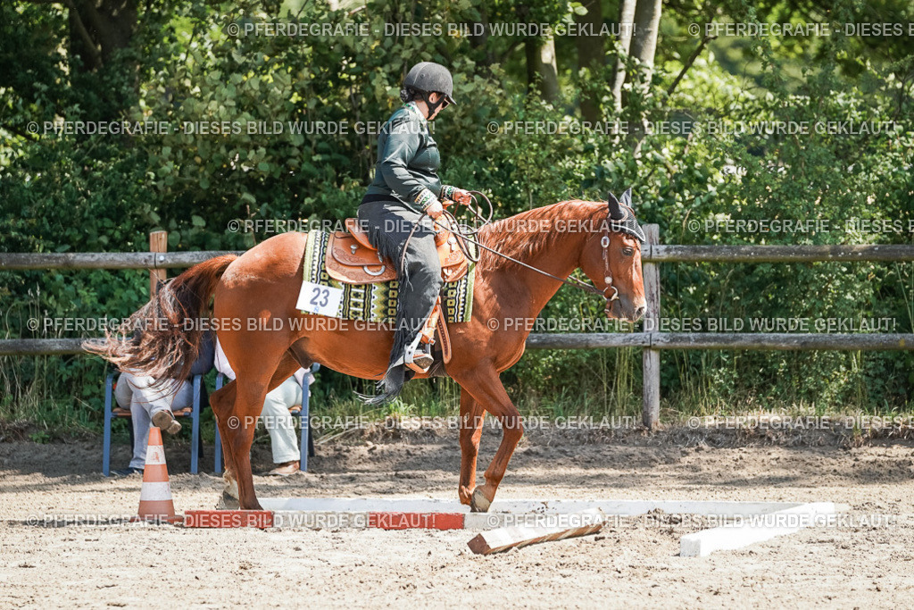 DSC06586 | Pferdegrafie