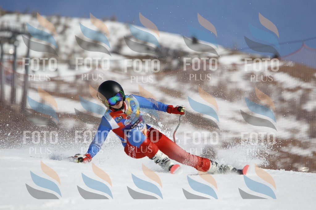 _U3G0766 | holidayphoto