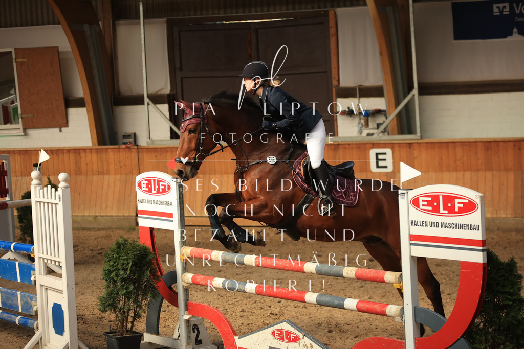 IMGT0339 | pl-fotografie