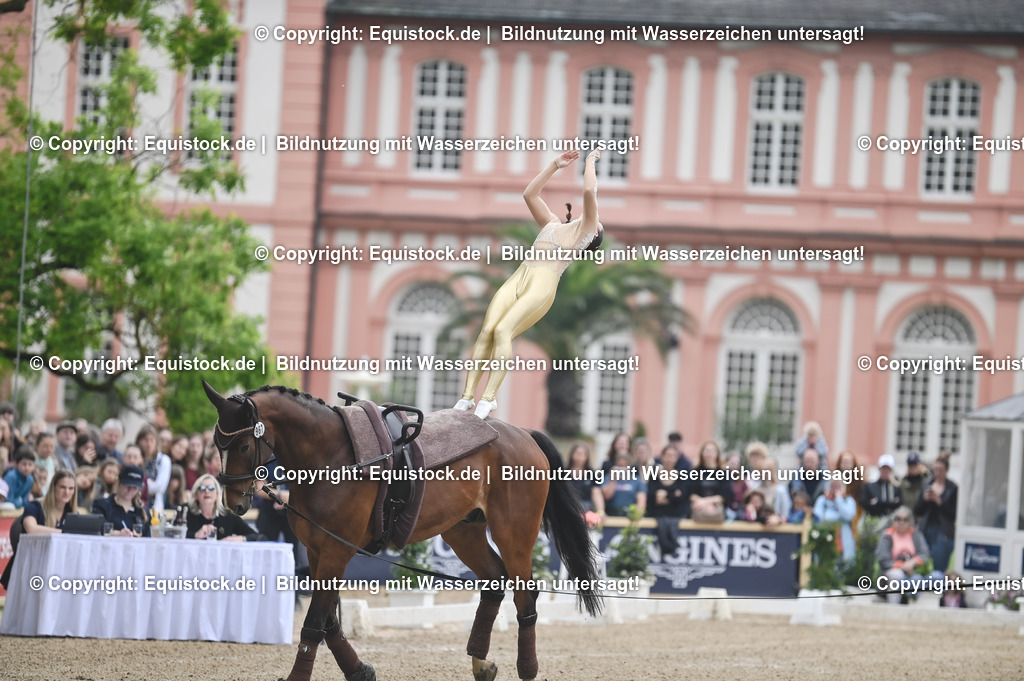 20240519_Voltige_0221 | Foto: Thomas Hartig