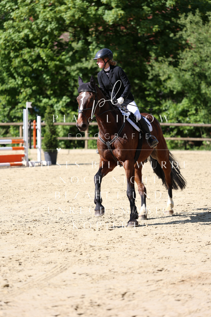 IMGS4956 | pl-fotografie