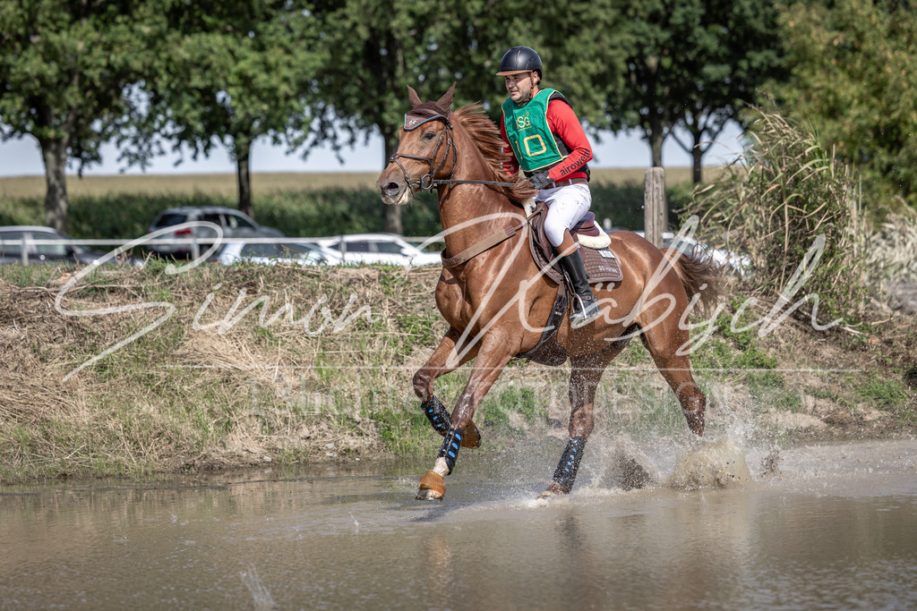 20250907-_3LI1299 | Tierfotografie Pferde, Hunde, Katzen, Haustiere.
Turnierfotografie Reitturniere, Reiten, Springreiten, Dressur in Hanau, dem Main-Kinzig-Kreis und dem Rhein-Main- Gebiet um Frankfurt