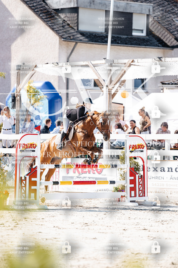 CK907909 | Turnierfotografie Pferdefotografie Trier Rheinland-Pfalz Pferdesport Reitsport Tierfotografie Sportfotografie Pferdevideo Pferdevideografie Equestrianvideography equestrianphotography  - Realisiert mit Pictrs.com