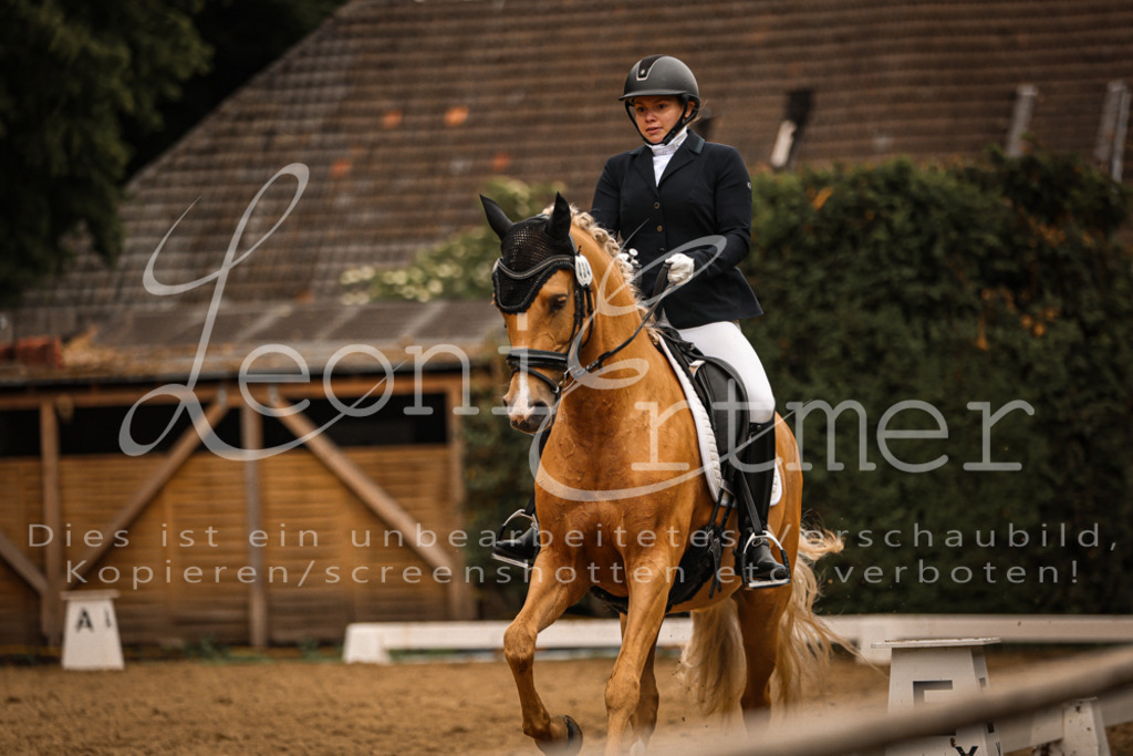 DoDrA200262 | Leoni Ertmer Photography - Realisiert mit Pictrs.com