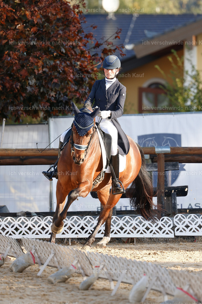 09_1-082-DRESSUR  S_  -StoibPH-5459 | working equitationturnier fotograf videograf stoibphotography marixx film working equitation deutschland reitsport turnierfotografie eventfotografie equestrian events