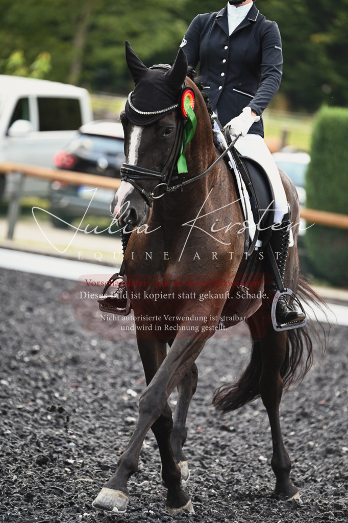 DSC_2808 | Pferde- und Turnierfotografie in Westsachsen. Pferdeportraits, Auftragszeichnungen und intuitive Kunst.