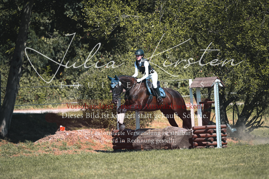 DSC_8340 | Pferde- und Turnierfotografie in Westsachsen. Pferdeportraits, Auftragszeichnungen und intuitive Kunst.