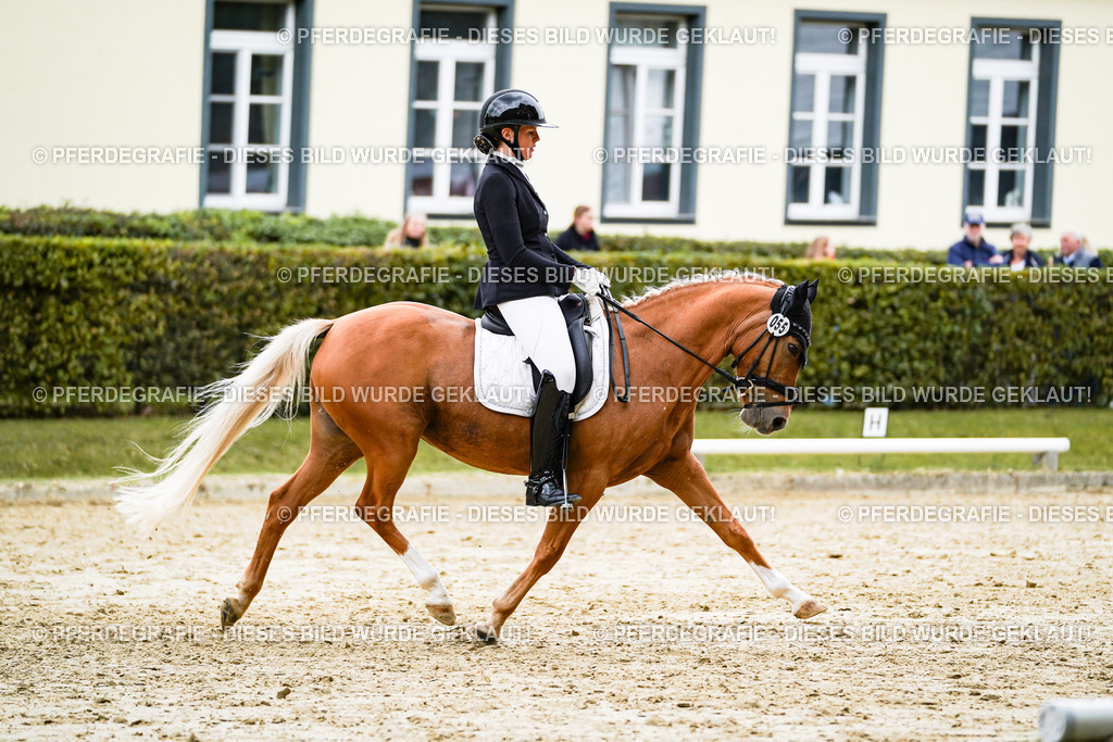 DSC08604 | Pferdegrafie