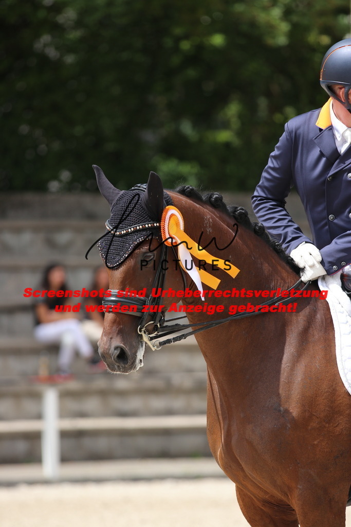 IMG_2013 | lmwpictures - Realisiert mit Pictrs.com