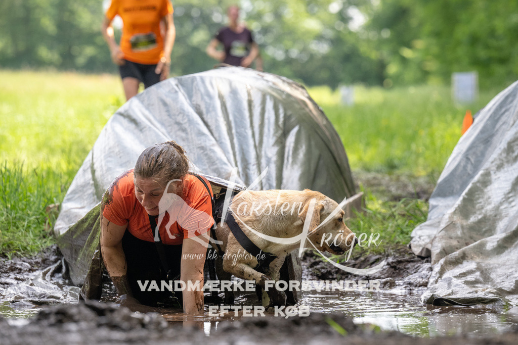 1211_ZZ91627 | kk-dogfotos