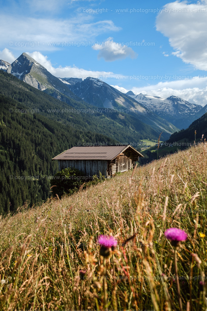 Sommer Tux copyright  Thomas Pfister-2 | PHOTOGRAPHY BY THOMAS PFISTER