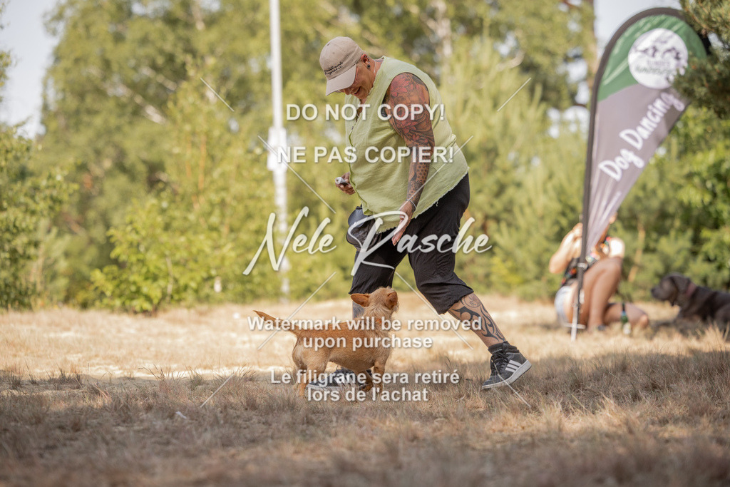 nelerasche_soDD2_62 | nelerasche