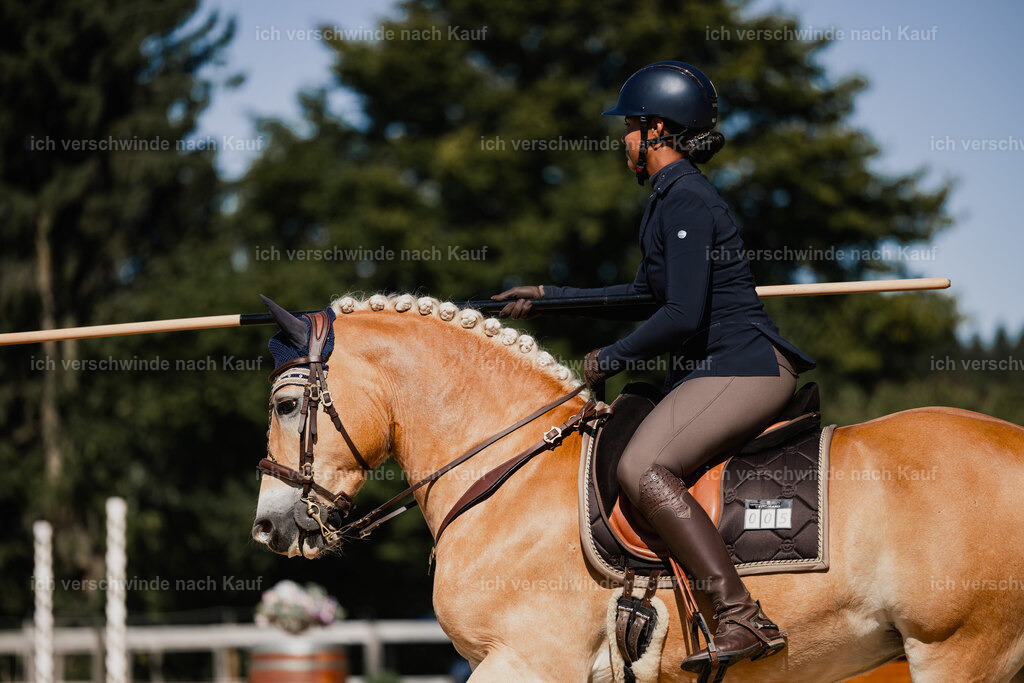 Tanesha5FHC2025-27427 | working equitationturnier fotograf videograf stoibphotography marixx film working equitation deutschland reitsport turnierfotografie eventfotografie equestrian events