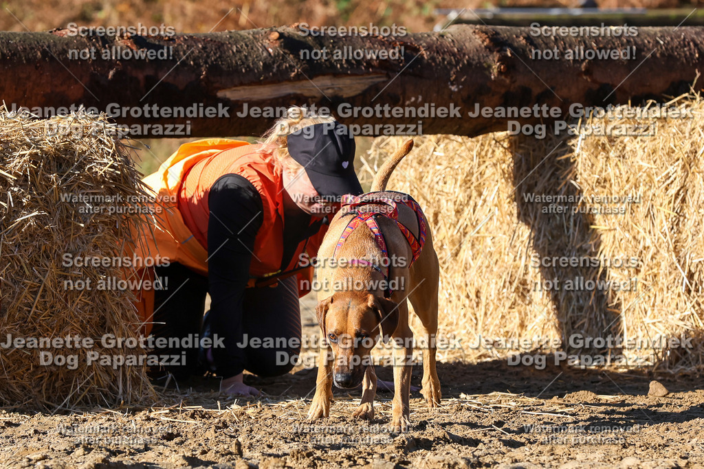 Dog Paparazzi - Strongdog 10-25-1506 | Dog Paparazzi Jeanette Grottendiek Fotografie & Videografie - Realisiert mit Pictrs.com
