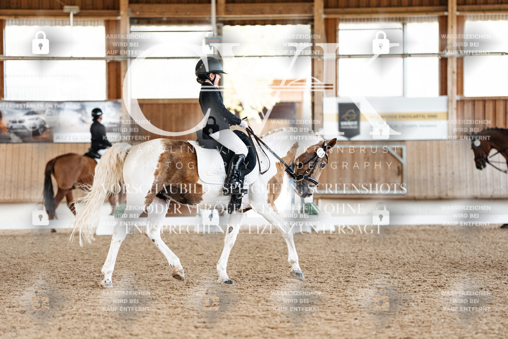 CK909598 | Turnierfotografie Pferdefotografie Trier Rheinland-Pfalz Pferdesport Reitsport Tierfotografie Sportfotografie Pferdevideo Pferdevideografie Equestrianvideography equestrianphotography  - Realized with Pictrs.com